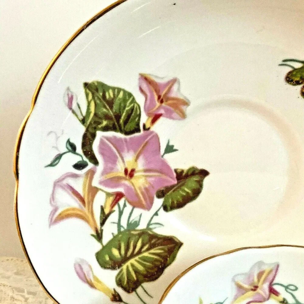 Bone China Tea Cup Saucer Morning Glory Pink Floral Regency England